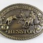HESSTON 1980 National Finals Rodeo Belt Buckle 102617