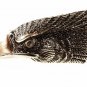 1976 Eagle Head Belt Buckle By Great American Buckle Co 81617