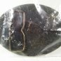 NRA Whittington Center Where Frontier Spirit Lives Belt Buckle Unbranded MIP