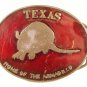 's Texas Home Of The Armadillo's Enameled Belt Buckle By KOLEAEN 72016