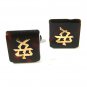 Silvertone & Goldtone Faux Tortoise Oriental Writing Cufflinks Unbranded 73015