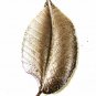 Vintage Sterling Silver Leaf Brooch By HSB 8416