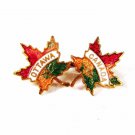Vintage Red White Green Ottawa Canada Maple Leafs Brooch Unbranded 5216