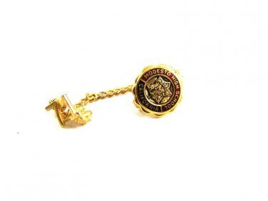 1971 Modesto High School CA 10K Gold Filled Pin 7114