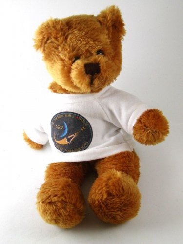 Vintage NASA Wolf Polanski Hurley 127 8 Toy Bear 102016