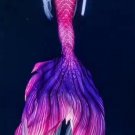 Women Fairy Purple Lace Mermaid Tails for Swimming with Monofin