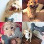 Personalized Pet Toy with Embroidered Name Squeaky Toy - Personalized Pet Gifts