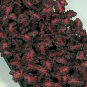Fresh Flower Black Dragon Coleus seeds 40 Seeds #ABG1