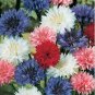 200 Polka Dot Mix  Centurea Seeds Bachelor Buttons easy to grow #ABG1