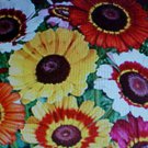 rainbow colored painted daisy flower 500 seeds #ABG2