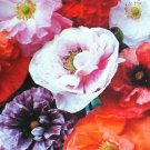2000  seeds double silk satin flower mix white pink peach red purple #ABG2