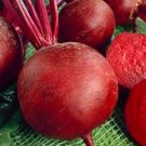 100 Seeds Beets Detroit Red,easy to grow  #ABG11