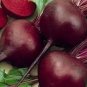 100 Seeds Beets Detroit Red,easy to grow #ABG11
