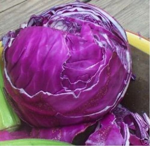 seeds Cabbage Red Acre,200 Seeds   #ABG11