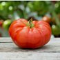 150 seeds tomato American Heirloom Garden/Containers #ABG13