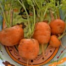 parisian round carrot seeds,400 seeds  #ABG13