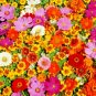2000 all annual full sun wildflowers mix collor,great for gardening #ABG13