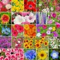 2000 all annual full sun wildflowers mix collor,great for gardening #ABG13