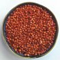 100 flowers seedss rex orange sweet  sorghum,great for your garden #ABG13