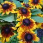 40  Fresh Seed  Rudbeckia Becky Cinnamon Bi-colo #ABG1