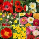 Poppy flower mix 8 species of wildflower,1000 seeds #IEB1