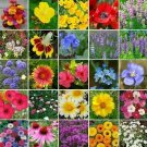 Heirloom flower seeds mix 25 species,250 seeds easy to grow  #IEB1