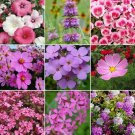 Flower seeds Pink Wildflower Mix 9 Species Of Wildflower, 500 Seeds     #IEB1