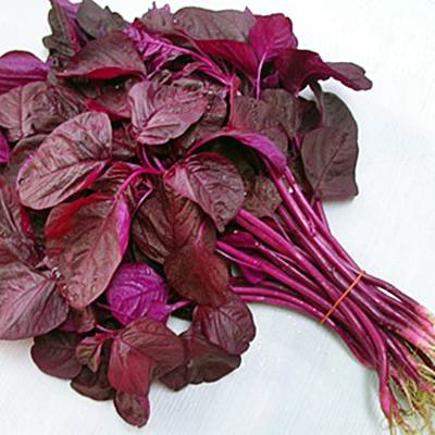 2,000 Seeds  Red spinach  Amaranth      #IEB1