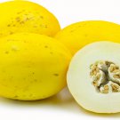 30 Seeds Melon Canary Bright Yellow, easy to grow  #IEB2
