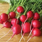 78 Seeds Radish  Comet Red White Inside   #IEB2