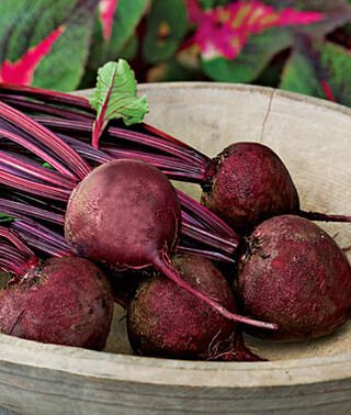 163 Seeds Beet Detroit Dark Red, easy to grow     #IEB2