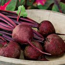 163 Seeds Beet Detroit Dark Red, easy to grow     #IEB2