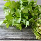 Cilantro  Coriander Chinese Parsley, 150 Seeds       #IEB2