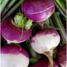 220 Seeds Turnip Purple Top,  easy to grow  #IEB2