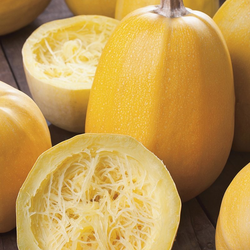 5 gram Vegetable Spaghetti Winter Squash Garden Seeds    #IEB16