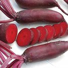 8 G Packet  Cylindra Beet Seeds  vegetable gardening #IEB16