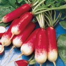 vegetable  garden seeds radish  french breakfast, 8 G packet   #IEB16