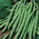 18 G Packet Blue Lake Fm1k Pole green Bean , garden seeds     #IEB16