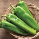 Garden Seeds Anaheim Chili Hot Pepper,1 G Packet    #IEB16