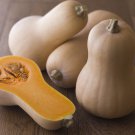 5 G Packet Waltham Butternut Winter Squash Garden     #IEB16
