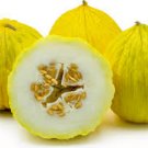 3 G Packet, Casaba Melon garden seeds easy to grow  #IEB16