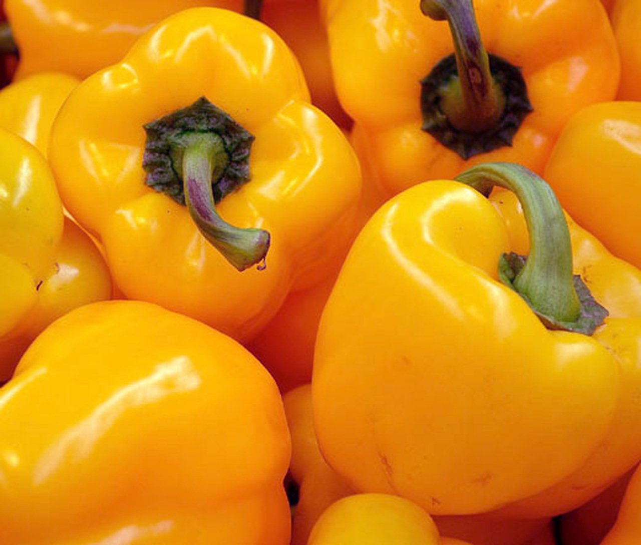 Sweet Bell Pepper Golden Cal Wonder Garden Seeds, 300 Mg Packet   #IEB16