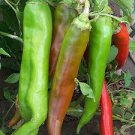 1 G Packet Hot Pepper Big Jim Garden Seeds, easy to grow     #IEB16