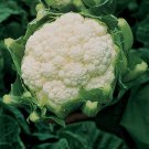 1 G Packet Snowbally Y Improved Cauliflower Seeds,vegetable seeds       #IEB16