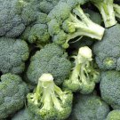 15 G Packet Destiny Broccoli  Vegetable Gardening Seeds, easy to grow    #IEB16