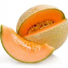 4 G Packet Cantaloupe Melon Garden Seeds, easy to grow       #IEB16