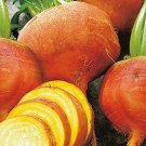 100 Seeds Burpee Golden Beet Vegetable Garden seeds     #IEB16