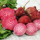 100 Seeds Chioggia Beet Vegetable Gardening, easy to grow   #IEB16