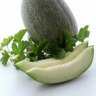 1 G ~35 Seeds Sharlyn Melon Seed  , easy to grow    #IEB16