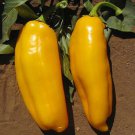 250 Mg Golden Marconi Sweet Pepper   Seeds     #IEB16